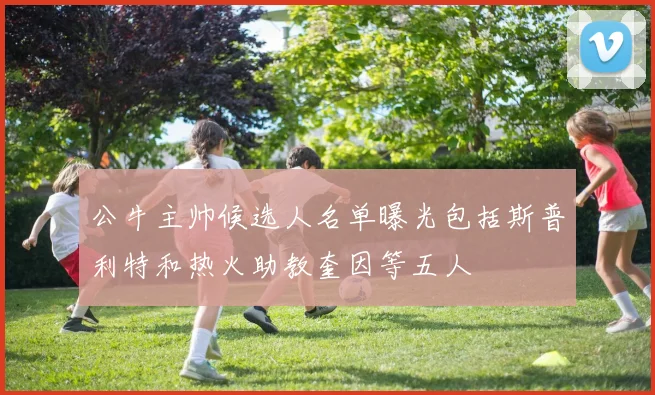 公牛主帅候选人名单曝光包括斯普利特和热火助教奎因等五人